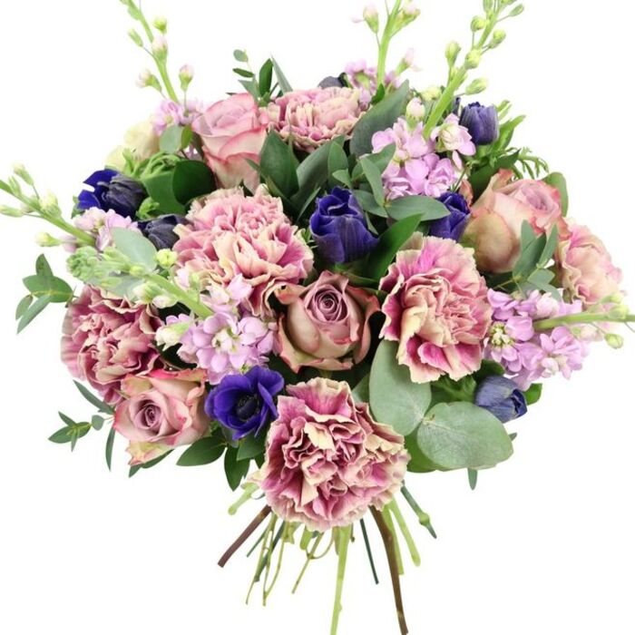 This hand-tied bouquet, photographed against a simple white backdrop, offers a sophisticated blend of colour and texture that feels both contemporary and deeply romantic. Central to the arrangement are several large garden roses, their petals unfolding in layered spirals of blush pink, dusty rose, and antique mauve, creating a focal point that feels soft and indulgent. Interwoven with these are plentiful ruffled carnations, each bloom showing an intricate transition from creamy beige and pale pink inside to stronger rose, fuchsia, and plum tones along the fringed edges, adding volume and a dynamic, almost cloud-like effect. Providing striking contrast, rich indigo and royal-blue flowers appear throughout-some in closed, tulip-like buds, others as open anemones revealing dark, inky centres that lend a sense of depth and drama. Rising between the larger blooms, delicate stalks of lilac and pale lavender stock carry clusters of small blossoms, introducing an airy lightness and gentle vertical movement that keeps the design from feeling heavy. Around this colourful heart, an abundance of greenery frames and supports the stems: rounded, silvery eucalyptus leaves sit alongside darker, glossy foliage, reminiscent of the varied tones you might see in the planting around local Bounds Green parks and gardens. A tidy bundle of stems is visible at the bottom, bound firmly yet gracefully to show the bouquet's hand-crafted nature and freshness, as if prepared moments ago for same-day flower delivery. The overall feel is one of quiet luxury and thoughtful artistry, making it ideal for weddings, anniversaries, spring celebrations, or simply to bring a touch of elegance into a Bounds Green home or workspace.